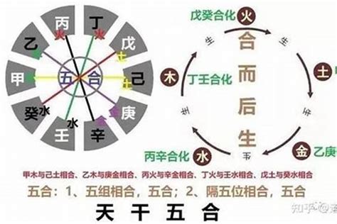 八字乙木|十天干命主白話解說